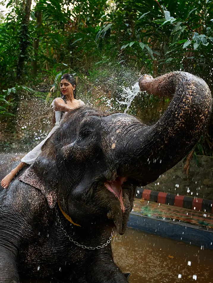 WGH Hotels & Resorts|Ayurvedic spas|Authentic local cuisine|Kerala|india